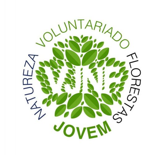 Vila de Rei