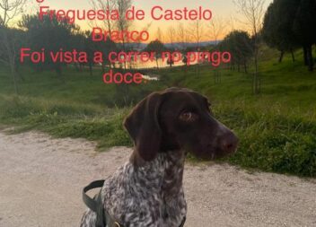 Castelo Branco