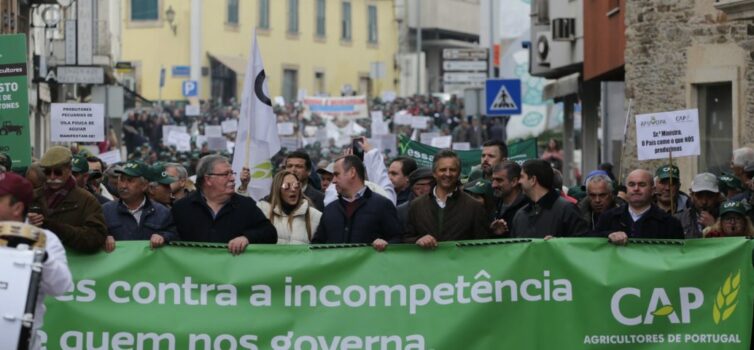 Castelo Branco