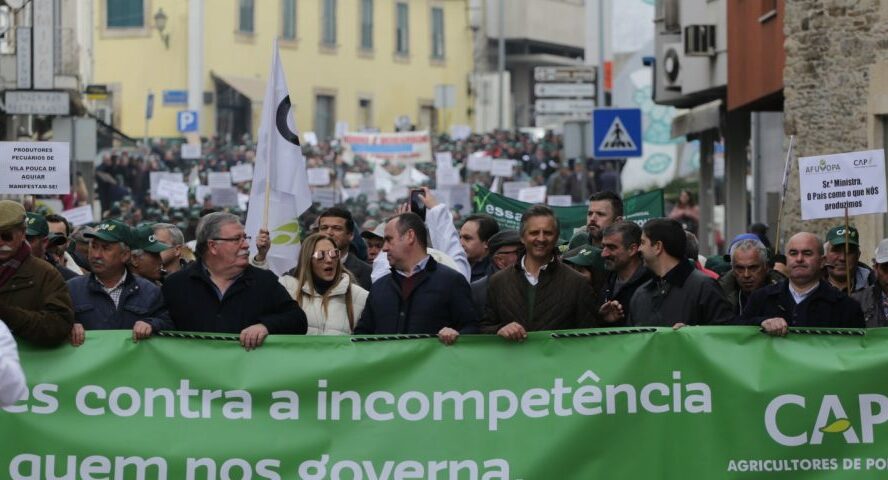 Castelo Branco