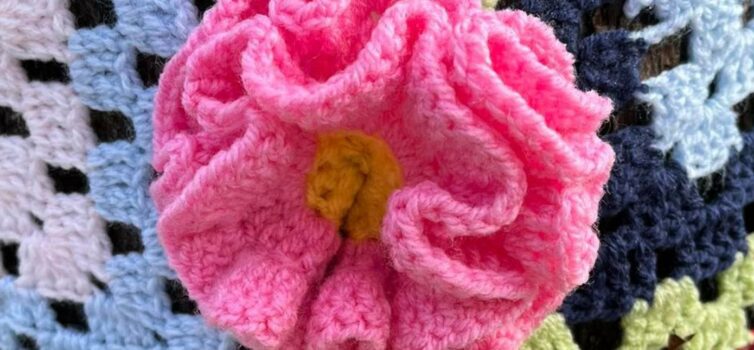 Agora há Rosas Albardeiras todo ano na Freguesia de Toulões, no concelho de Idan