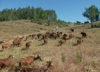 Candidaturas abertas para apoio aos agricultores