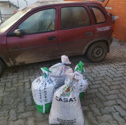 Dois detidos por furto de azeitona