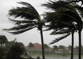 Ventos fortes provocaram 13 ocorrências no concelho da Covilhã