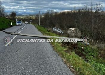 Viatura sofreu um despiste na EN233