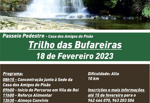 Vila de Rei