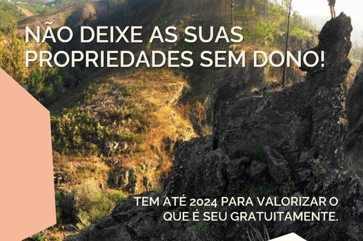 Vila de Rei