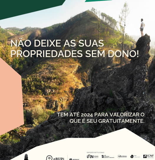 Vila de Rei