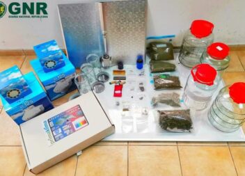 Apreendidas mais de 500 doses de canábis