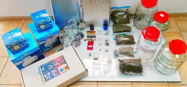 Apreendidas mais de 500 doses de canábis