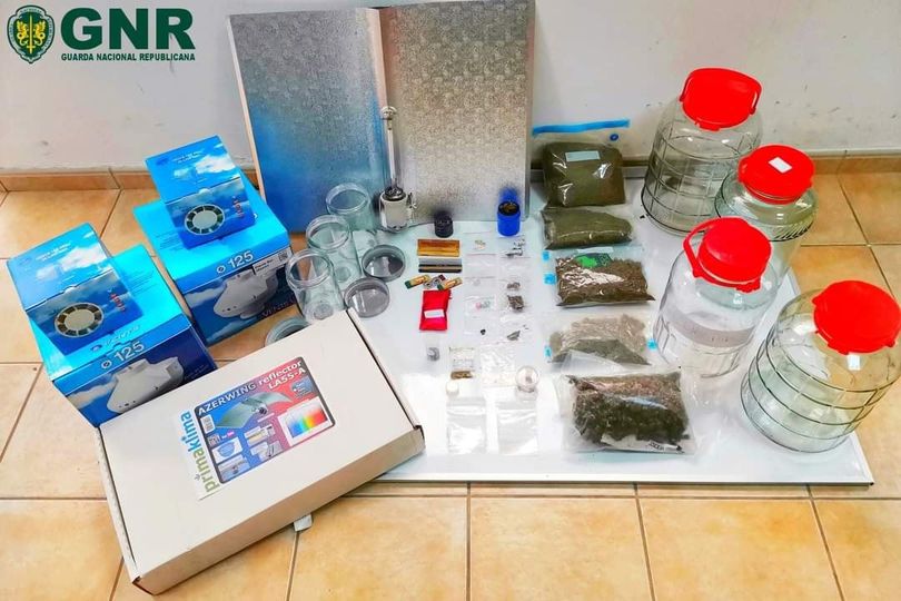 Apreendidas mais de 500 doses de canábis
