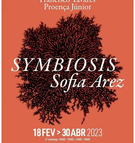 Exposição Symbiosis chega a Castelo Branco