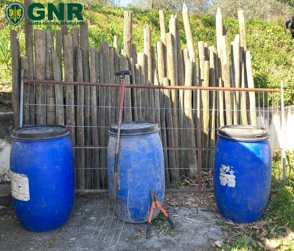 GNR recupera material furtado na Covilhã