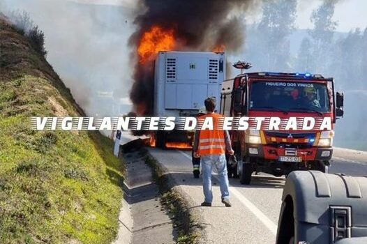 Galera de camião ardeu no IC8