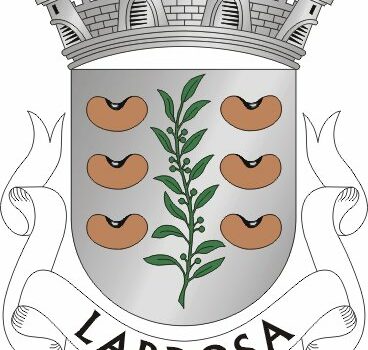 Lardosa assinala 800 anos de Foral