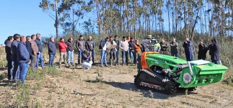 Máquinas florestais autónomas mais perto de trabalhar no território