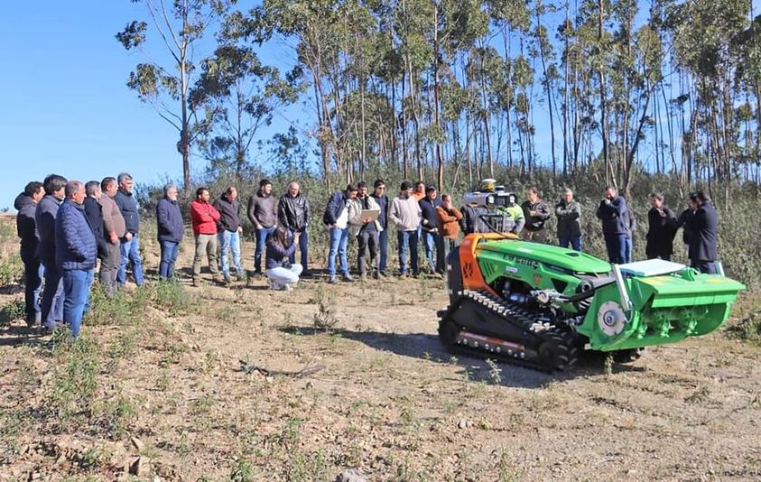 Máquinas florestais autónomas mais perto de trabalhar no território
