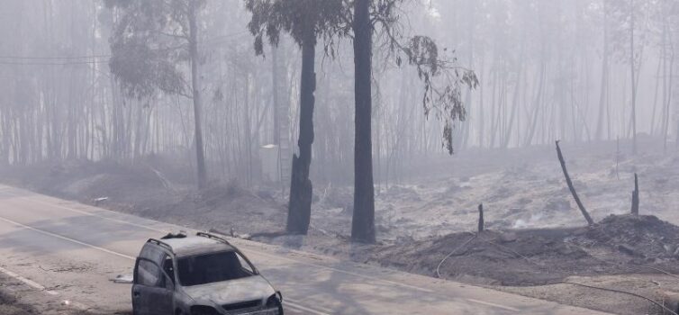Memorial às vítimas dos incêndios de Pedrógão Grande concluído no segundo trimes