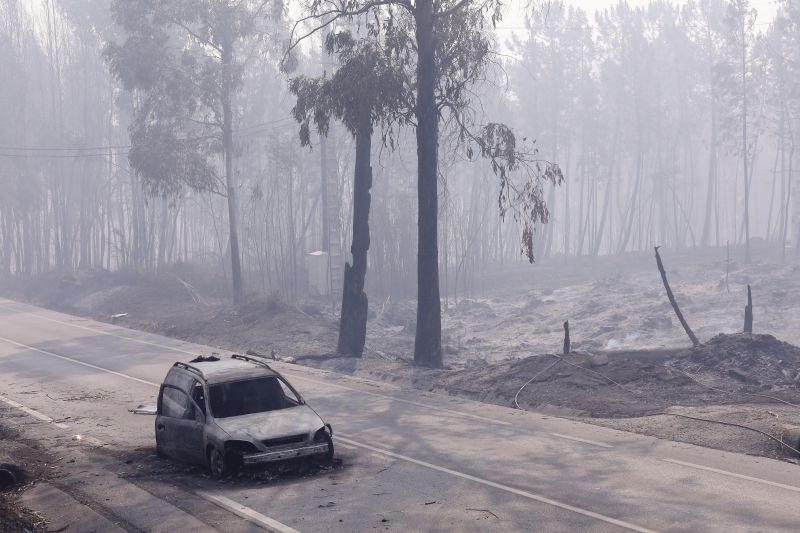 Memorial às vítimas dos incêndios de Pedrógão Grande concluído no segundo trimes