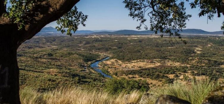 Projeto Landscape Together vai trazer arte e cultura para as paisagens de Idanha