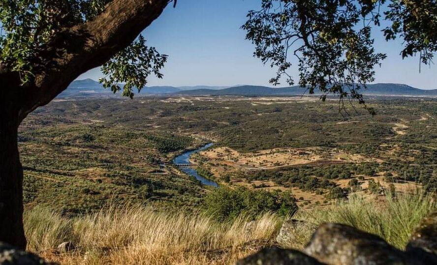 Projeto Landscape Together vai trazer arte e cultura para as paisagens de Idanha