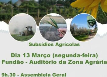 Fundão
