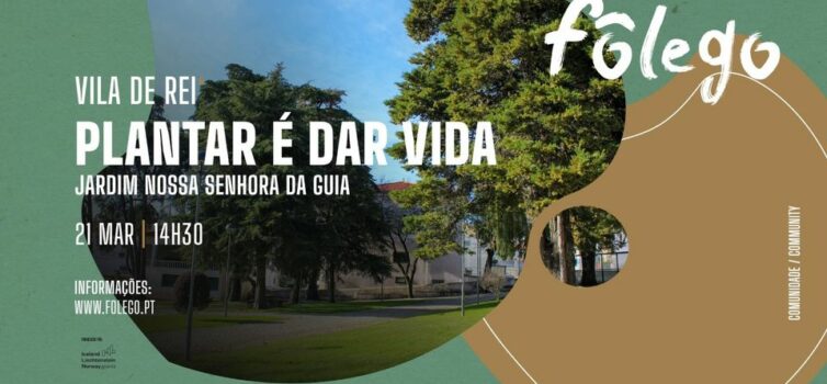 Vila de Rei