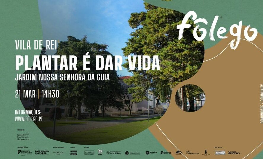Vila de Rei