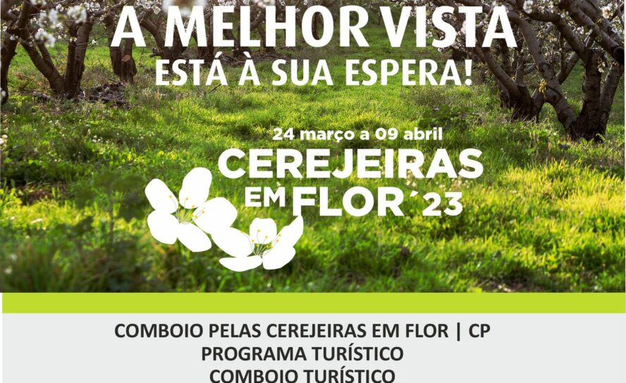 Fundão
