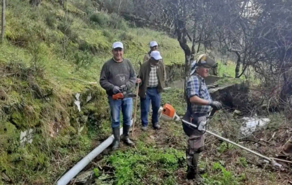 Associação de Corgas limpa passadiços do ribeiro em dia de aniversário