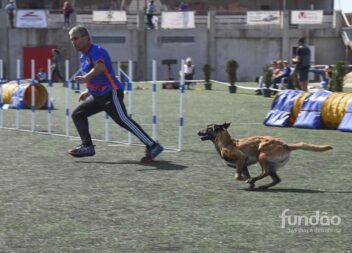 Cães e dons divertem-se no Agility World Championship 2023