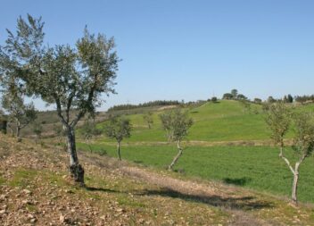 Candidaturas abertas para apoio aos agricultores