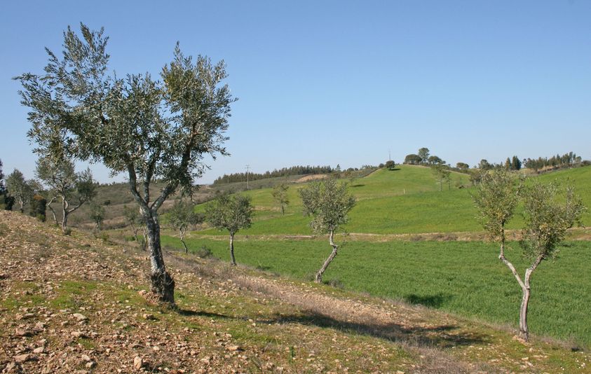 Candidaturas abertas para apoio aos agricultores