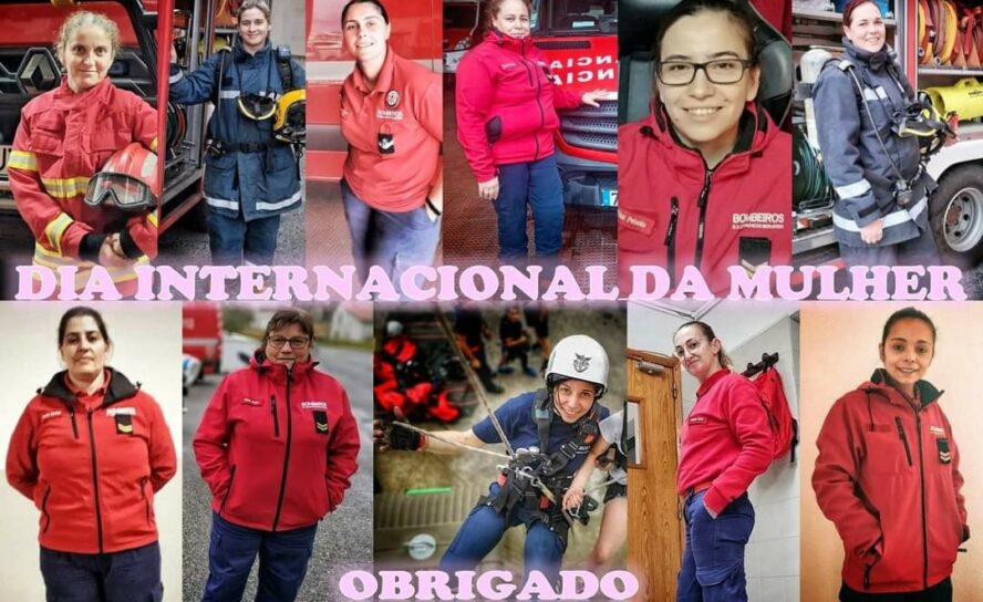 Cernache do Bonjardim