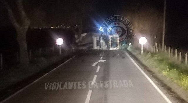 Despiste na EN240 leva ao condicionamento do trânsito