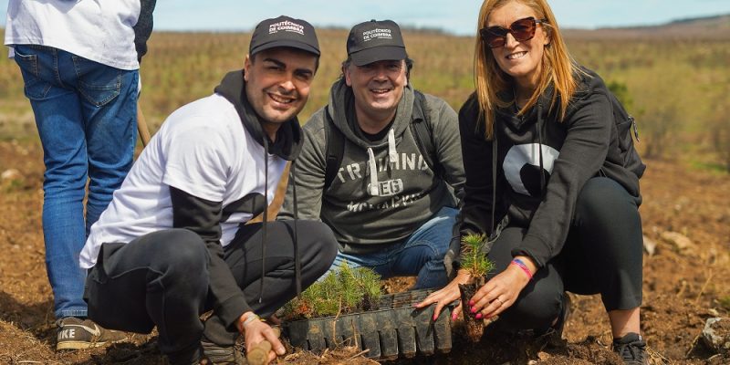 Estudantes do Politécnico de Coimbra plantaram 1500 árvores no Parque Natural da