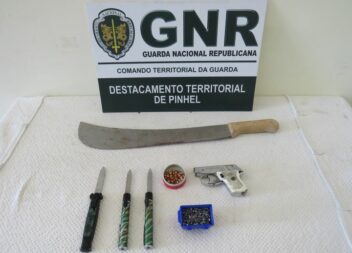 Freixo de Numão