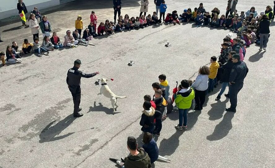 GNR de Castelo Branco realiza Dia de Portas Abertas
