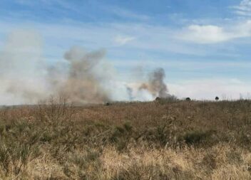 Incêndio rural deflagrou em Aldeia Velha no Sabugal