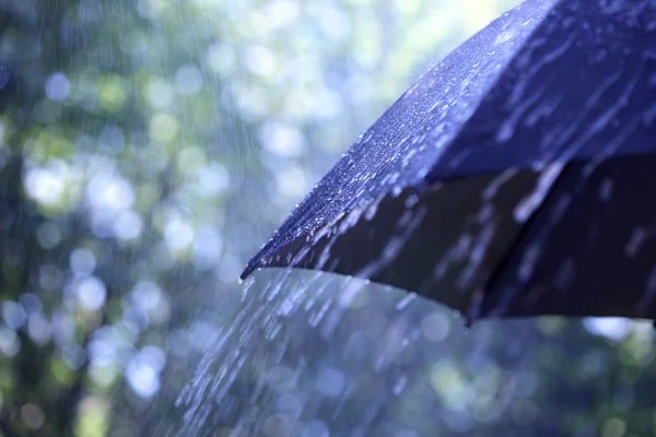 Mau tempo regressa ao País entre quinta-feira e sábado