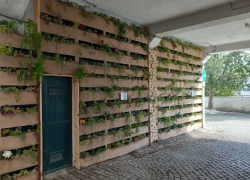 Mercado Municipal de Castelo Branco tem Jardins Verticais