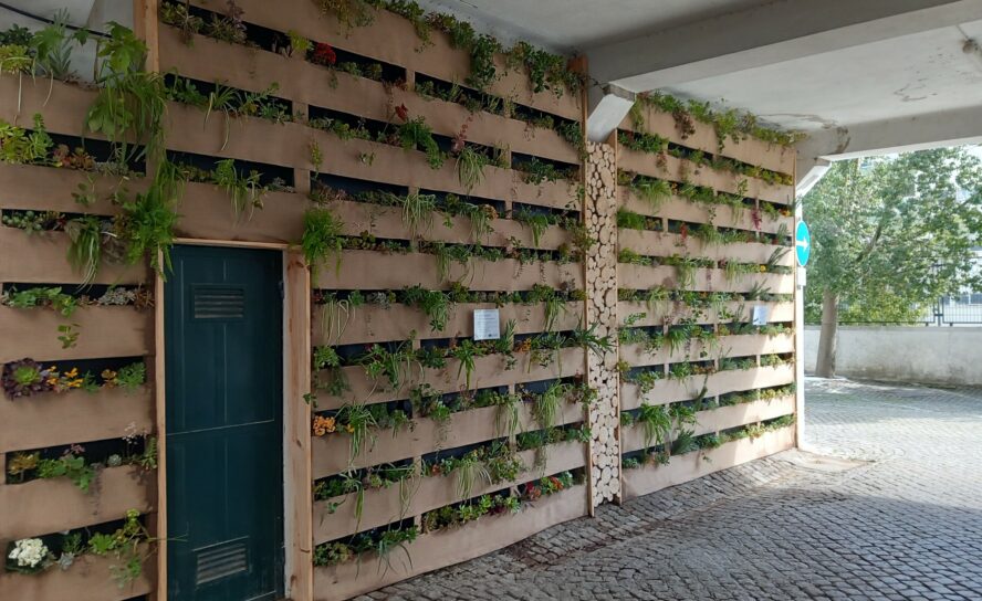 Mercado Municipal de Castelo Branco tem Jardins Verticais