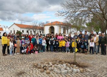 Plantação de árvores no âmbito da Jornada Mundial da Juventude