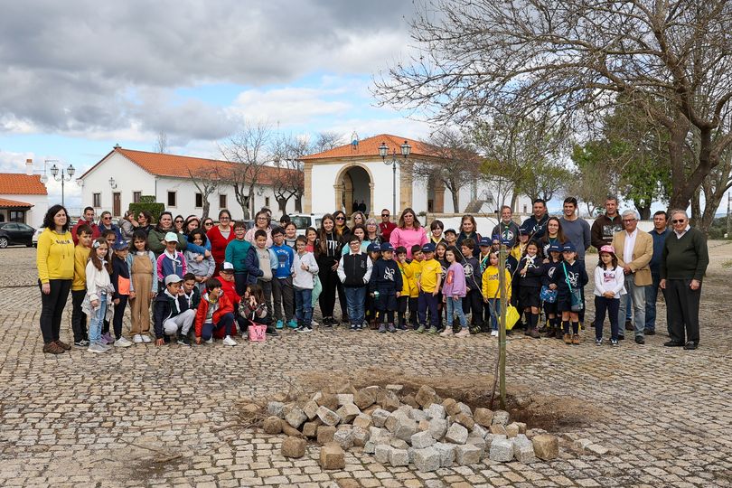Plantação de árvores no âmbito da Jornada Mundial da Juventude