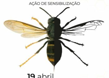 Sertã