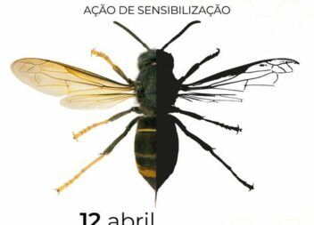 Sertã