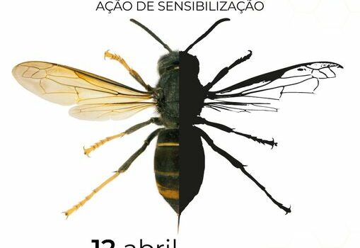 Sertã