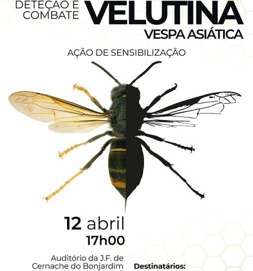 Sertã