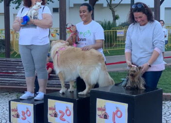 3º PET Festival Solidário ACDCarapalha