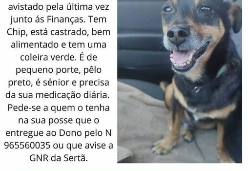 ATUALIZAÇÃO- ENCONTRADO